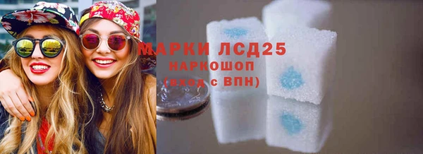 ешки Корсаков