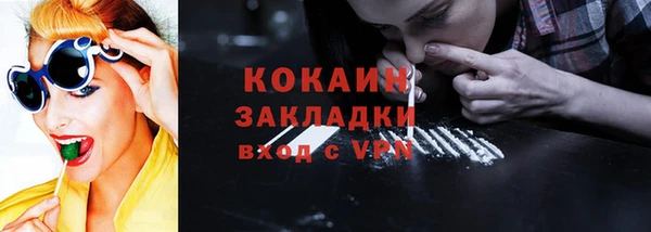 ешки Корсаков
