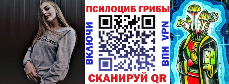 Галлюциногенные грибы MAGIC MUSHROOMS  Купить закладки  Пудож 
